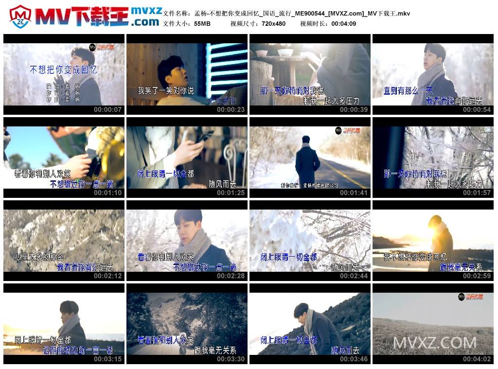 孟杨-不想把你变成回忆_国语_流行_ME900544